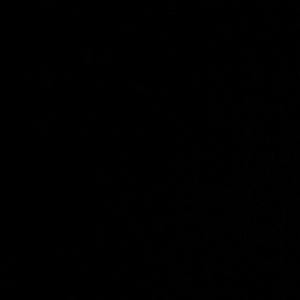 Meet your Posher, Dalton